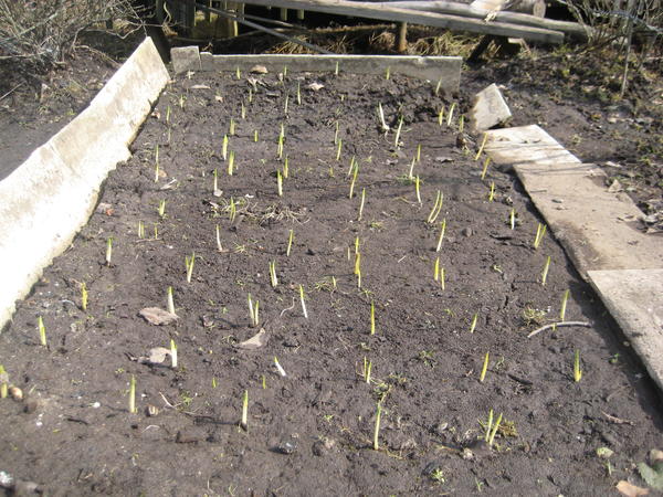 итог работы