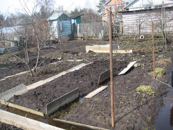 огород без единой травинки