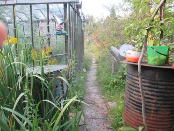 Дорожка через весь участок