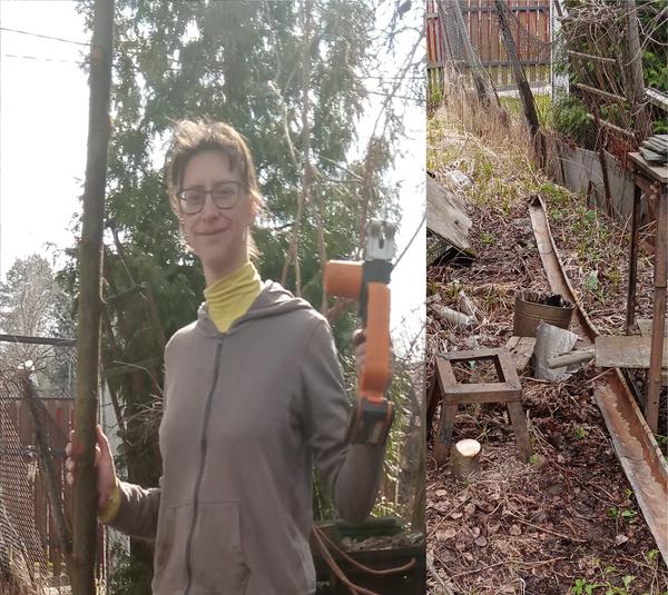 С "врагом" и аккумуляторной сабельной пилой, хватило и ее, чтобы от дерева остался только пенек