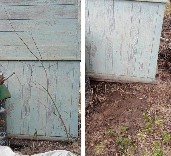 "Враг" крупным планом и пустое место, что даже пенька не видно