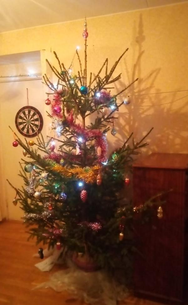 Наша новогодняя елка