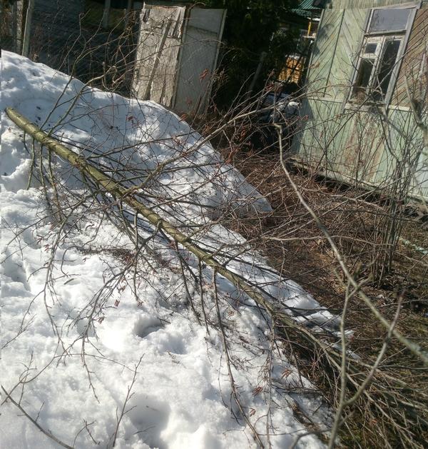 Поверженный враг