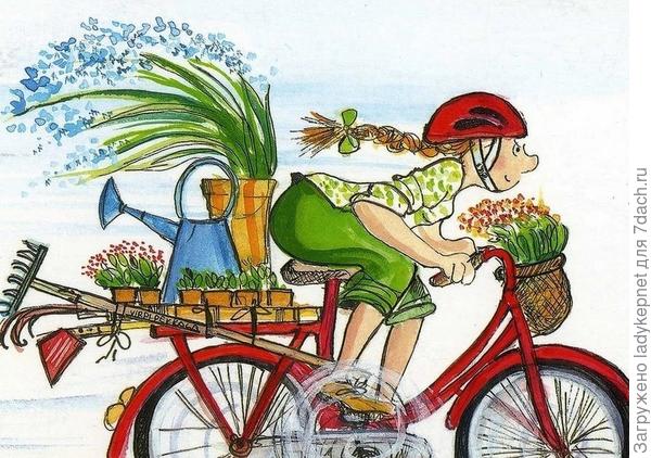 Желаю вам успеть сделать все запланированное и даже больше