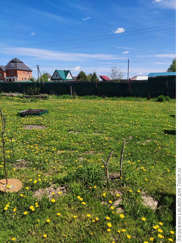 Места хватает, фантазии нет))