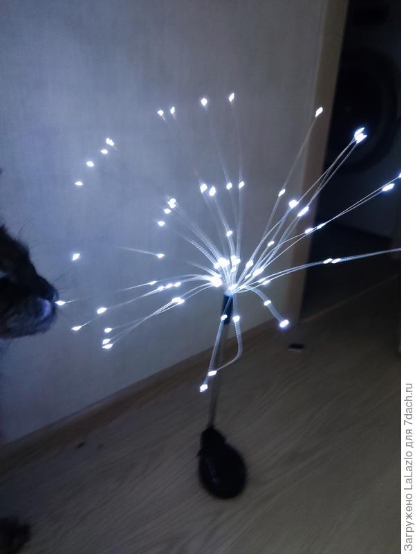 Ещё купила вот такие светильники на солнечной батареи. К ним ещё идёт длинная палка, чтобы воткнуть в землю