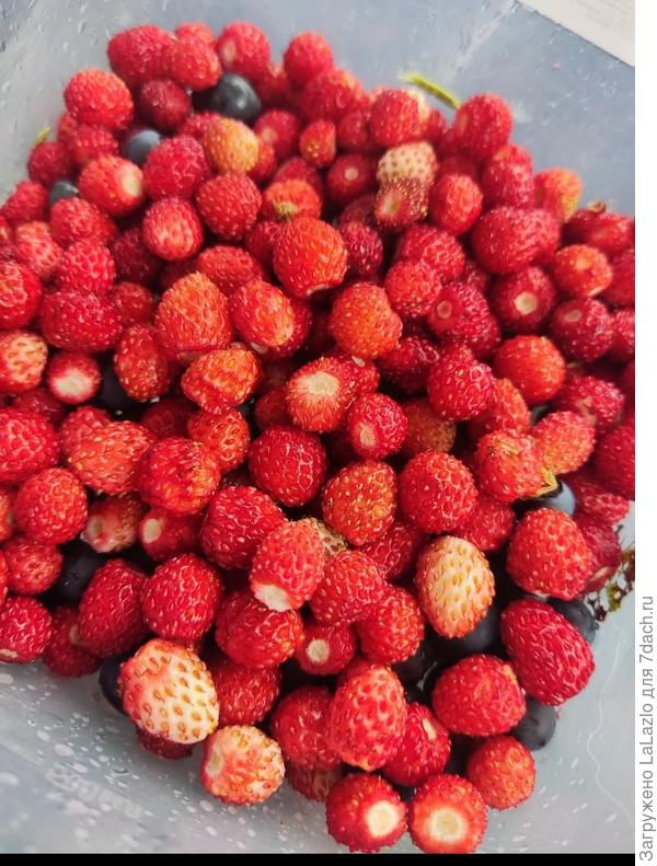 Вкусняшки для детей