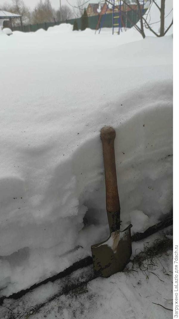 Вон сколько снега в этом году, потопа не избежать