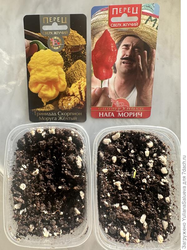 Супер жгучие перчики