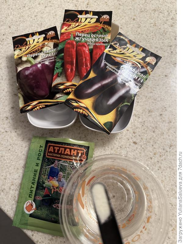 Замачивание семян