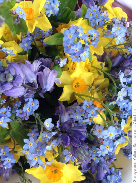 Дача это счастье!