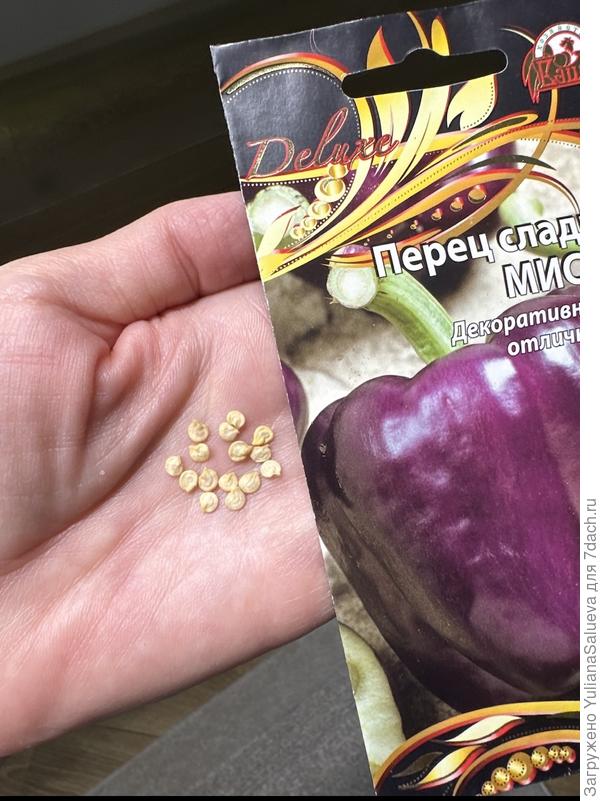 Семена перца Мистик
