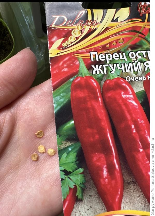 Семена перца «Жгучий язык»