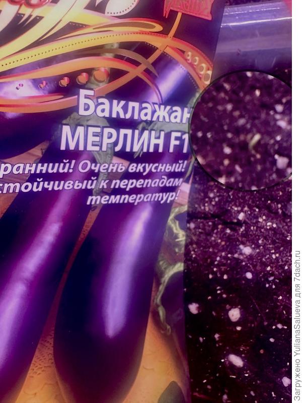 Первый росточек