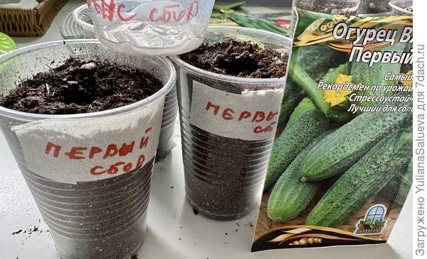 Маркировка стаканчиков