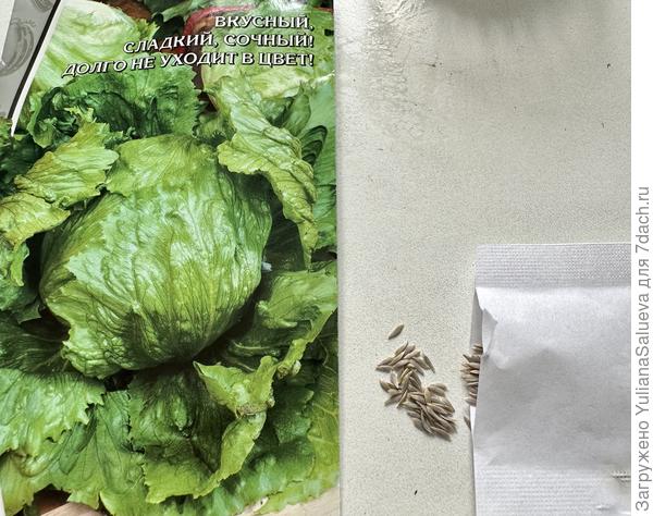 Семена салата «Брейк»