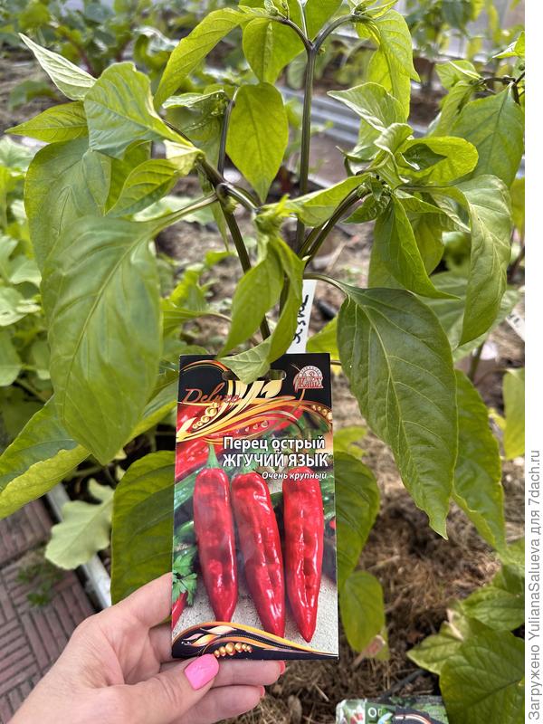 Острый 🌶️