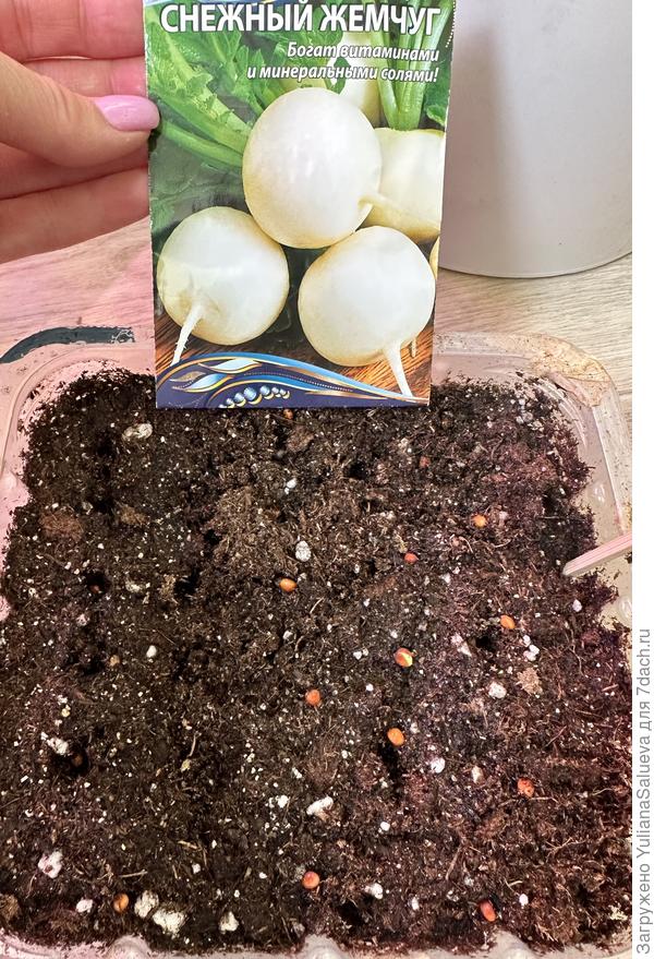 Семена для посева в контейнер