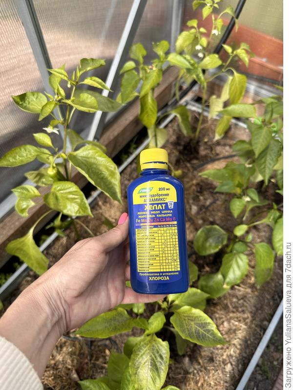 Делала обработку по листу ,