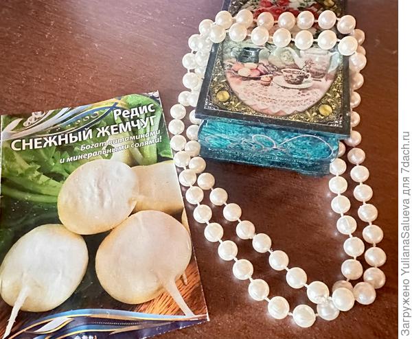 Редис «Снежный жемчуг»