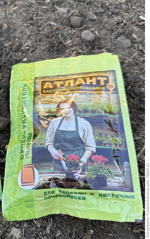 Препарат Атлант