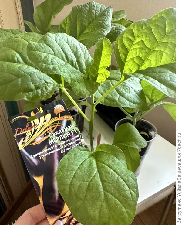 Фото 27 апреля