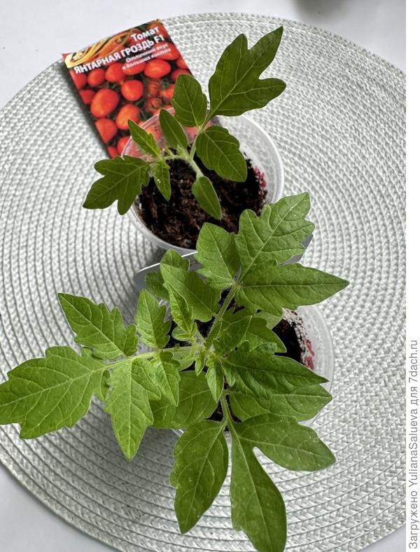 Фото 19 апреля