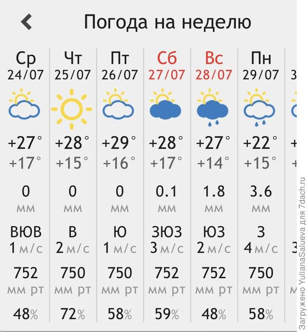 Погодные условия