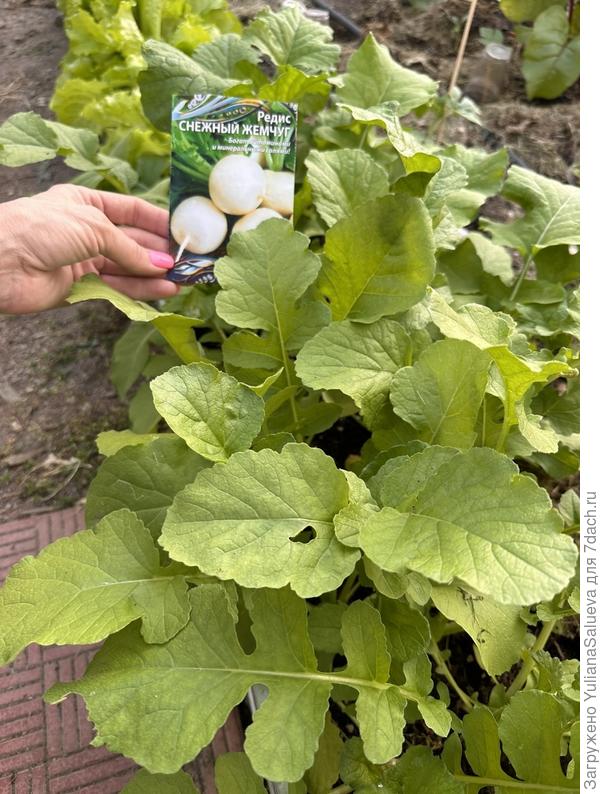 Спустя 10 дней