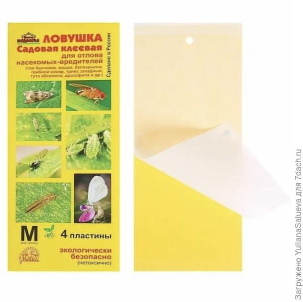 Клеевая ловушка