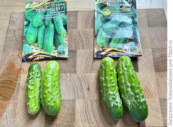 Внешний вид по курсу