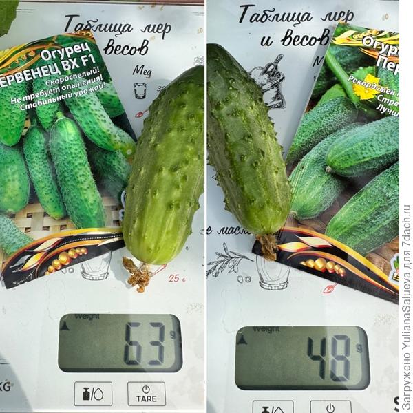 Взвешивание