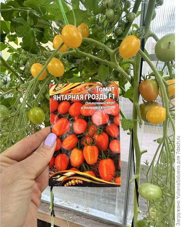 Цвет значительно светлее, чем на упаковке