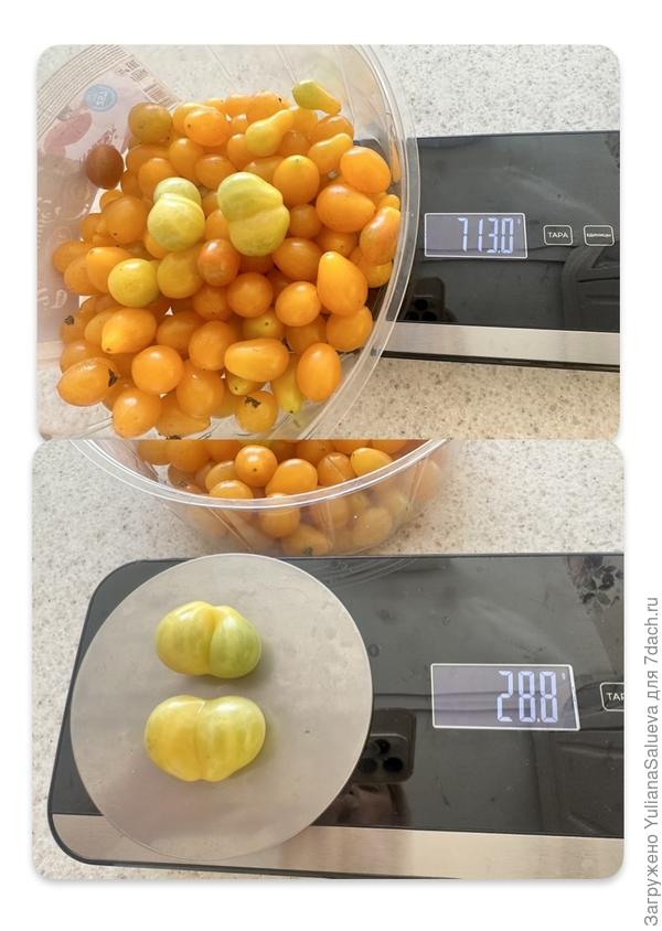 Поспевшие плоды последнего сбора