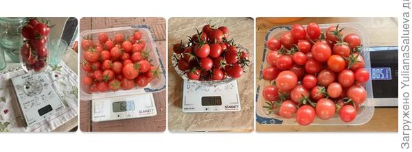 Взвешивание