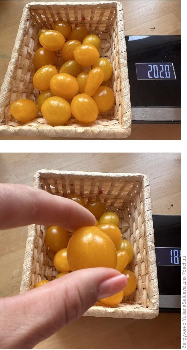 Взвешивание