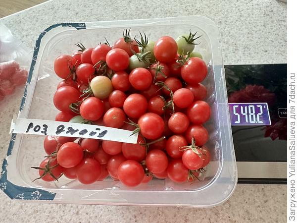 Последний сбор пойдет на заготовочки