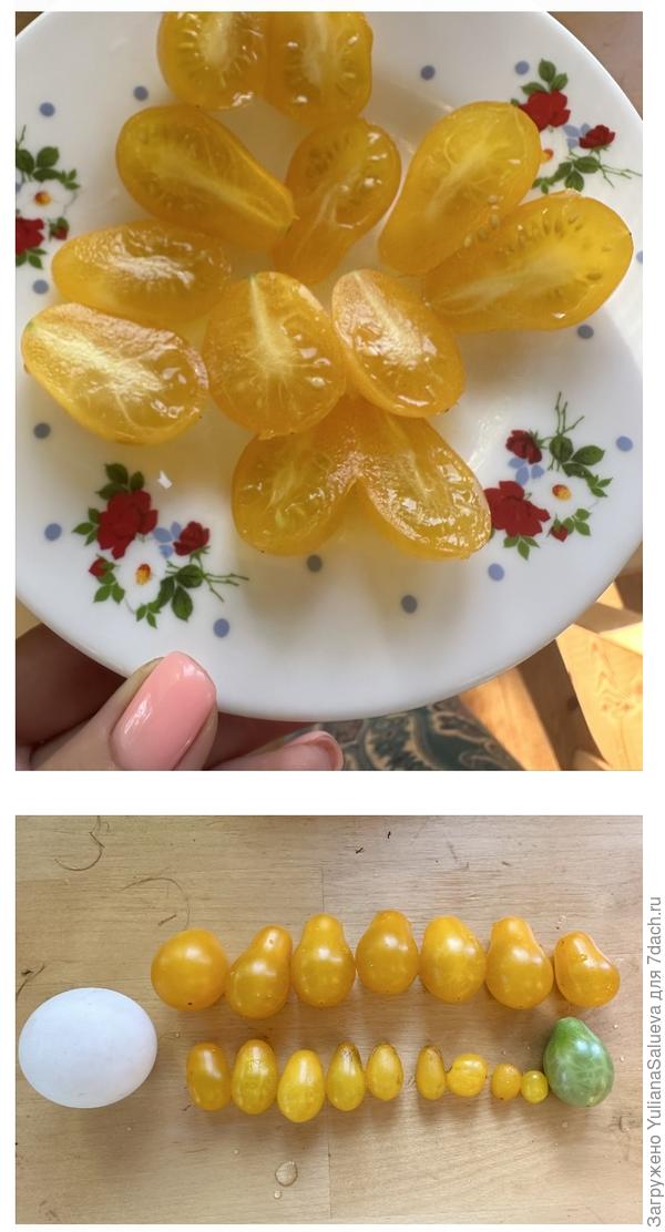 Внутренний и внешний вид