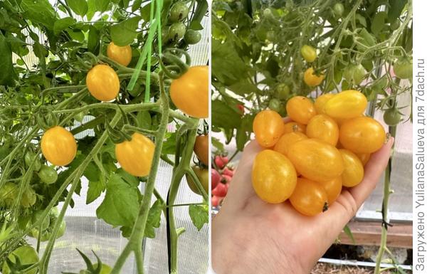 Красивые и яркие