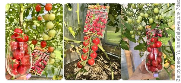 Красота невозможная!