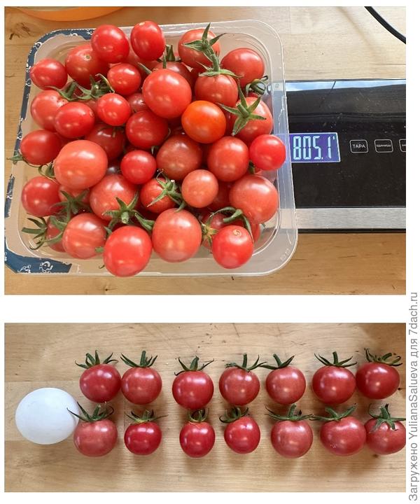 Оценка плодов