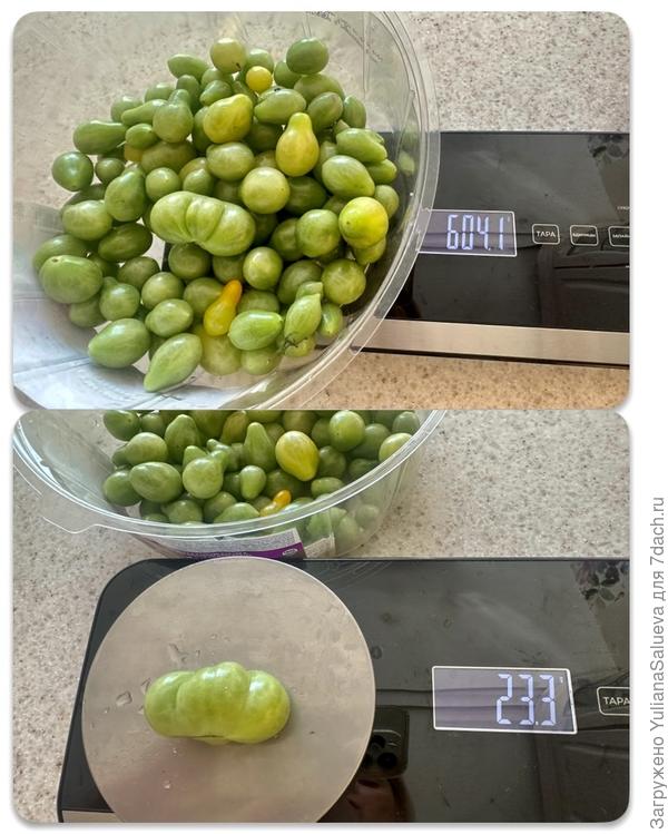 Зеленые плоды для дожаривания