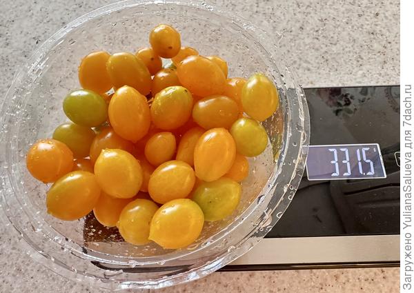 Последний сбор 21 сентября