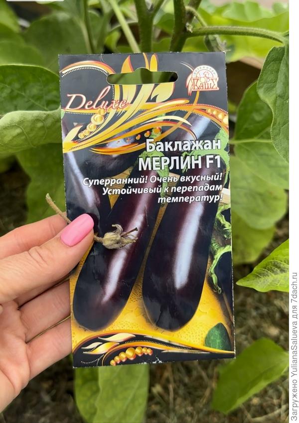 Неразбившийся цветок