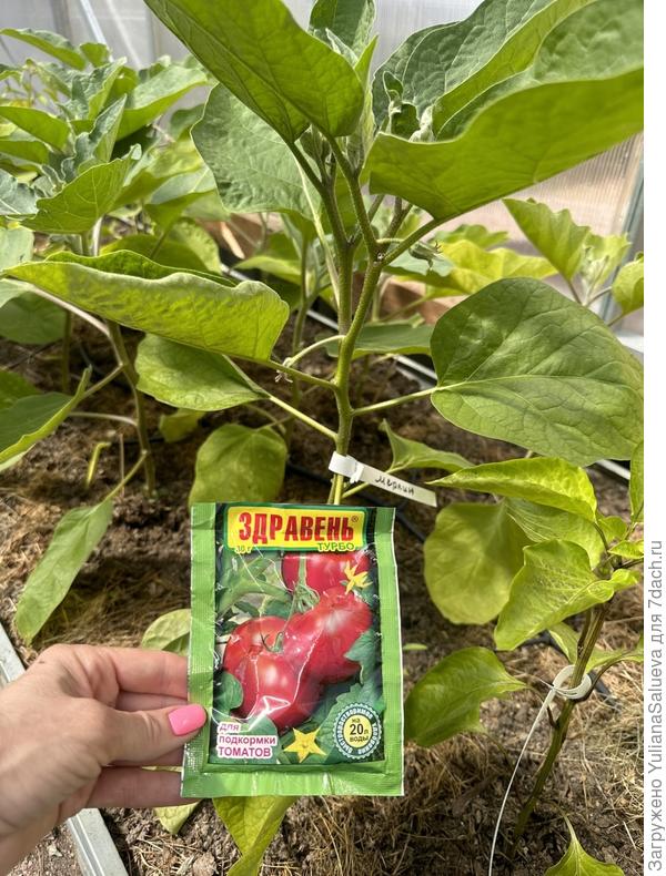 Подкормка удобрением «Здравень турбо»