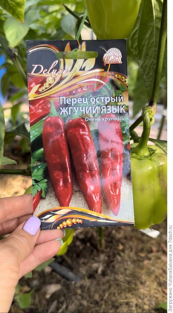 Фото и реальность