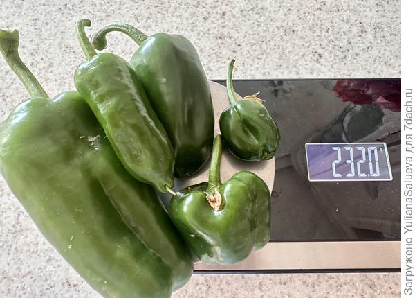 Урожай с третьего куста