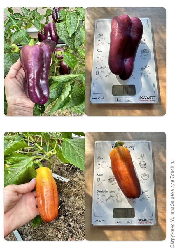 Взвешивание