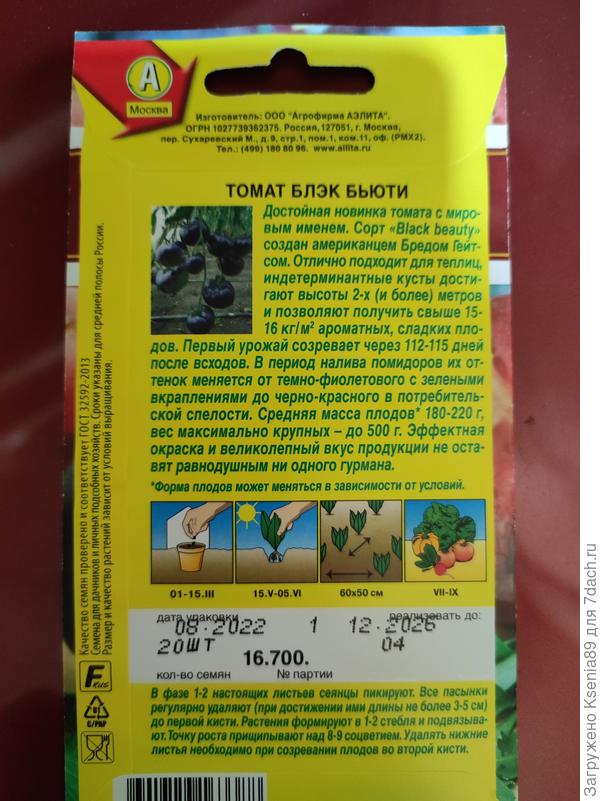 Описание томата Блэк Бьюти
