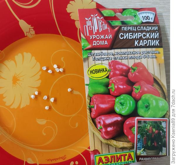 11 семян из 10 заявленных в пакетике Сибирского карлика!